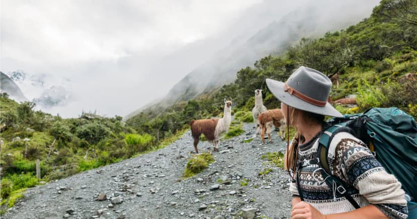 Salkantay Trek vs Inca Trail: Complete 2025 Guide to Peru's Best Hiking Routes