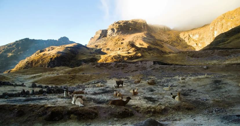 Lares Trek to Machu Picchu