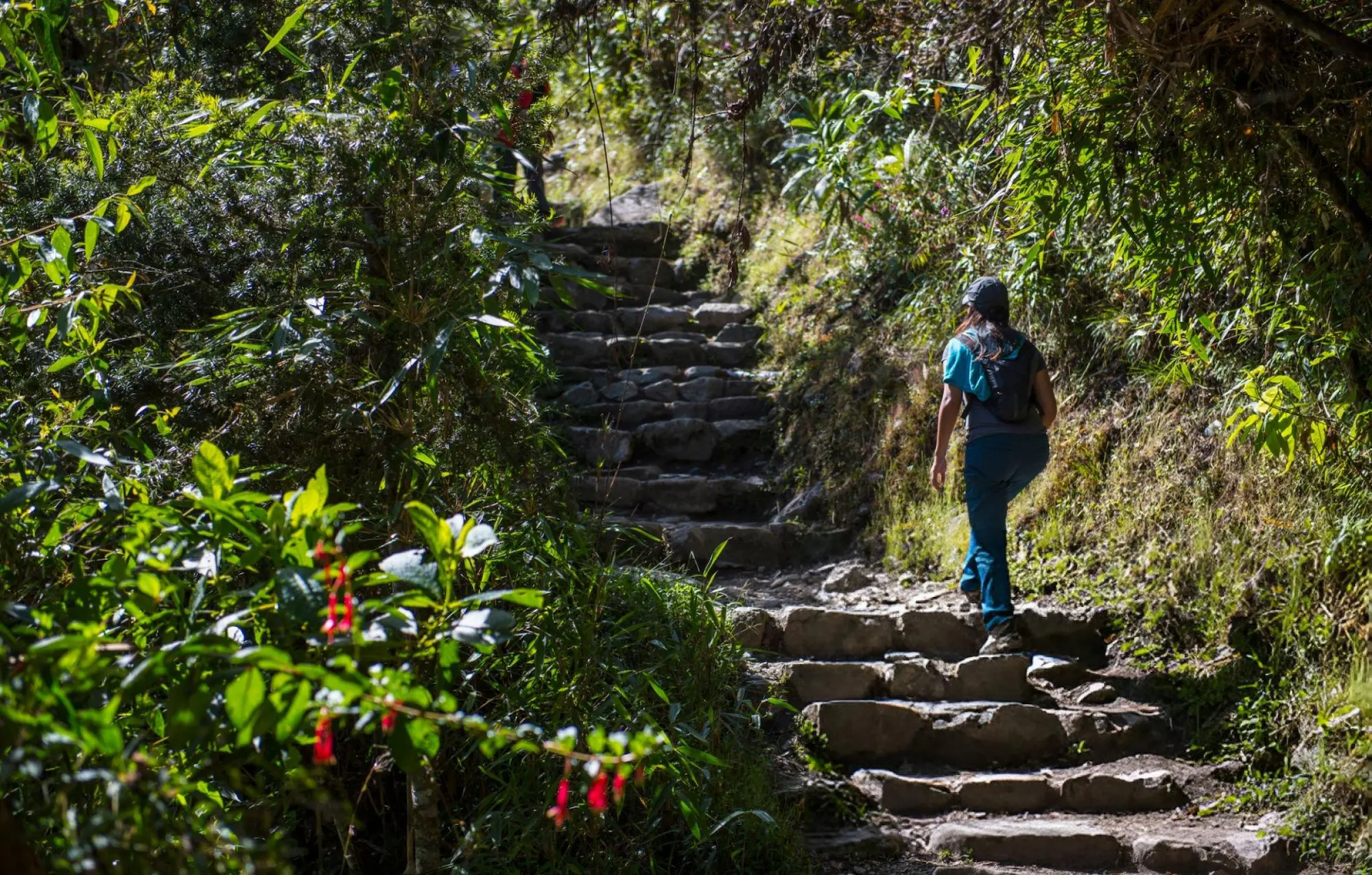 Inca Jungle Trek to Machu Picchu