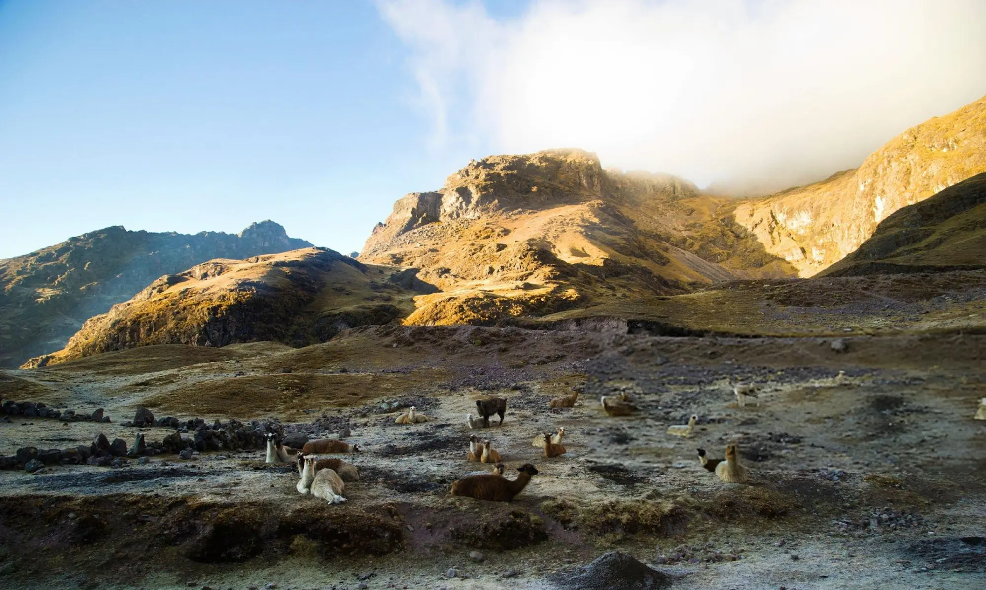 Lares Trek to Machu Picchu