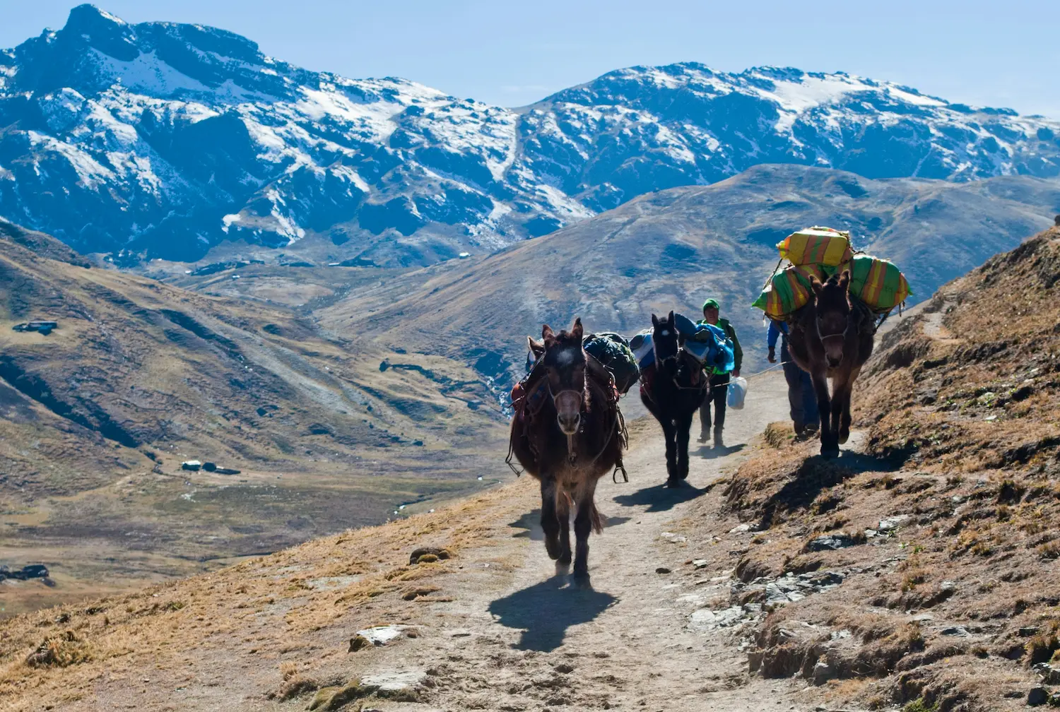 Lares Trek to Machu Picchu