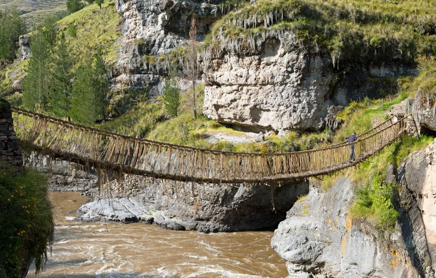 Queswachaka Bridge Tour