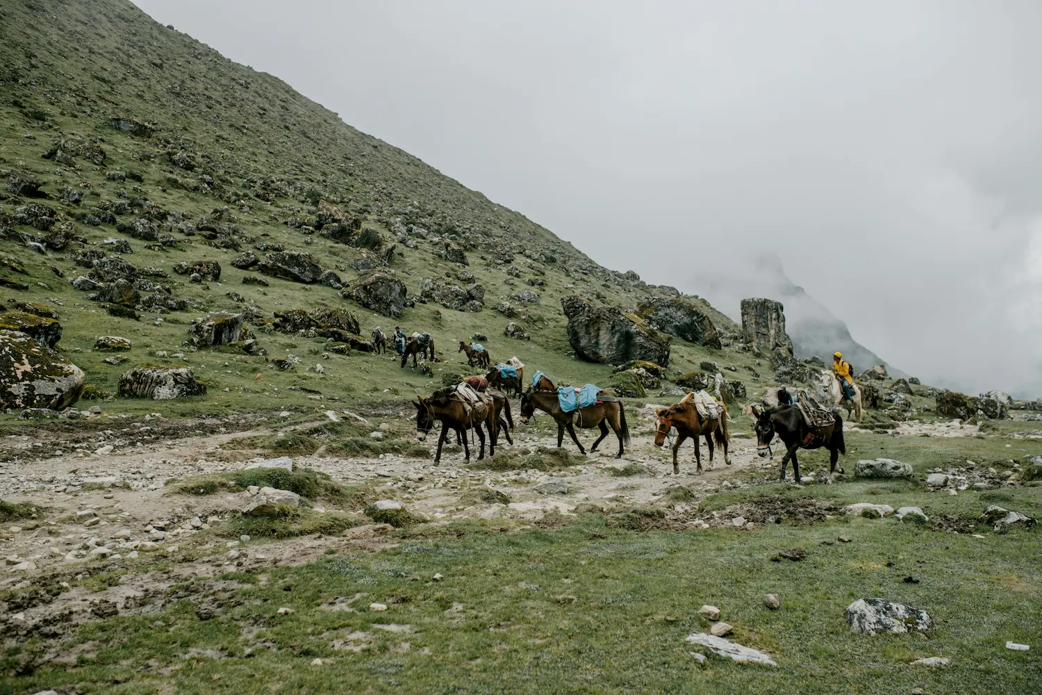 Salkantay Trek to Machu Picchu